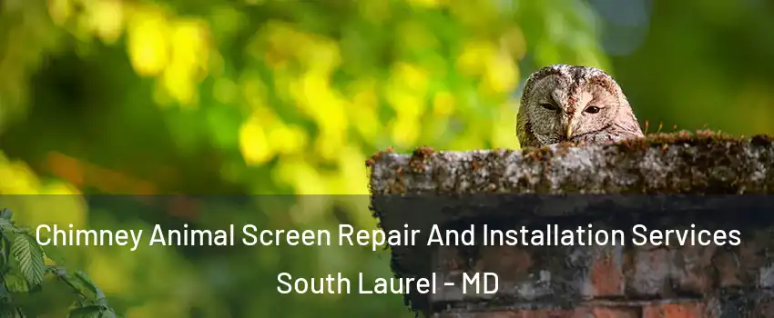 Chimney Animal Screen Repair And Installation Services South Laurel - MD