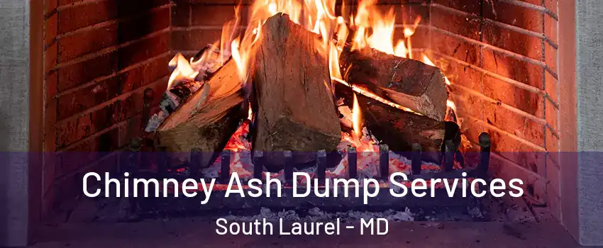  Chimney Ash Dump Services South Laurel - MD