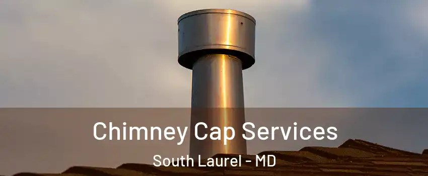  Chimney Cap Services South Laurel - MD