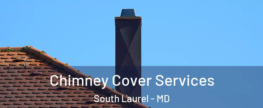 Chimney Cover Services South Laurel - MD