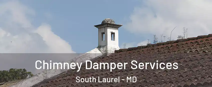  Chimney Damper Services South Laurel - MD