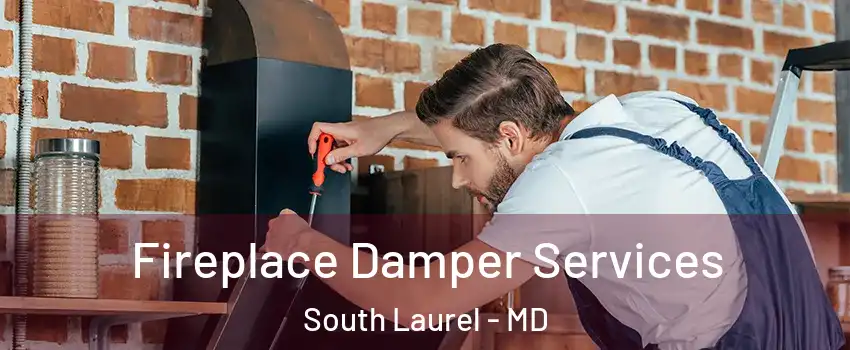  Fireplace Damper Services South Laurel - MD