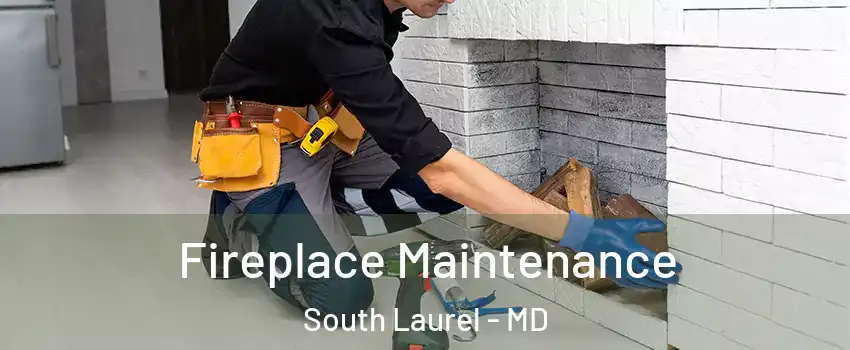  Fireplace Maintenance South Laurel - MD
