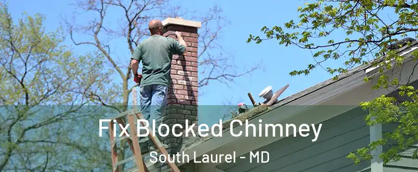  Fix Blocked Chimney South Laurel - MD