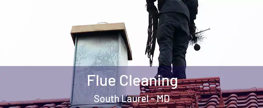  Flue Cleaning South Laurel - MD