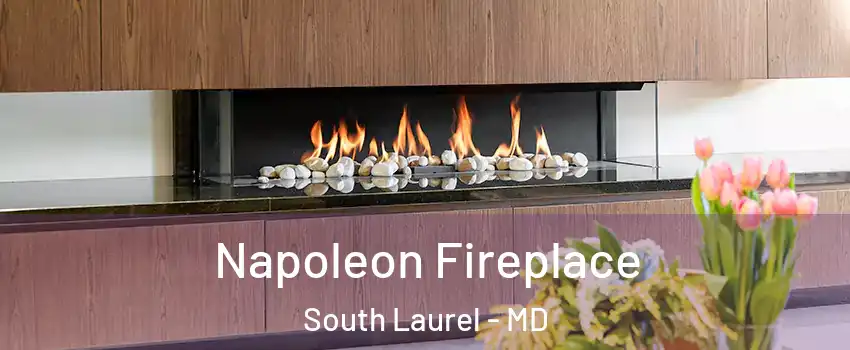  Napoleon Fireplace South Laurel - MD