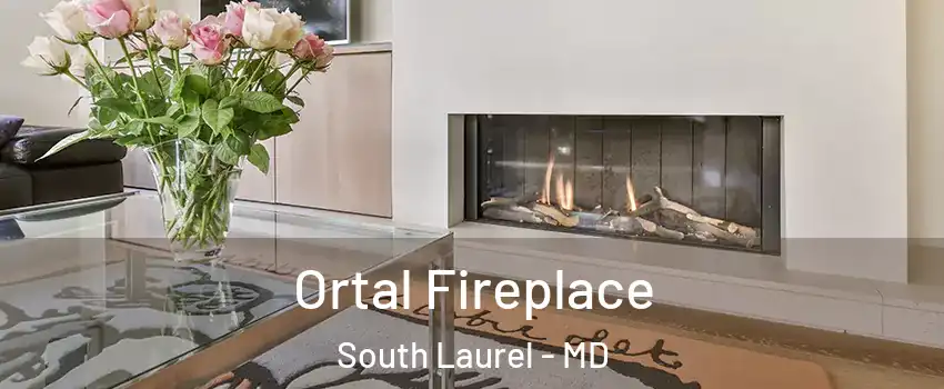  Ortal Fireplace South Laurel - MD
